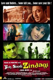 Yeh Saali Zindagi (2011) Full Movie Download Gdrive Link