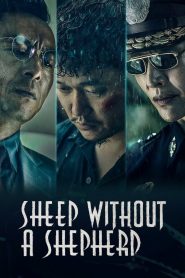 Sheep Without a Shepherd (2019) Full Movie Download Gdrive Link
