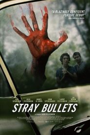 Stray Bullets (2017) Full Movie Download Gdrive