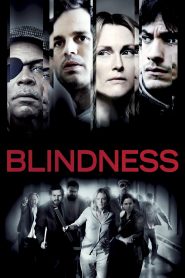 Blindness (2008) Full Movie Download Gdrive Link