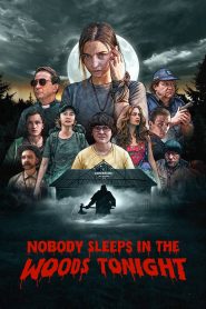 Nobody Sleeps in the Woods Tonight (2020) Full Movie Download Gdrive Link