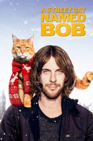 A Street Cat Named Bob (2016) Full Movie Download Gdrive