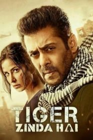 Tiger Zinda Hai (2017) Full Movie Download Gdrive