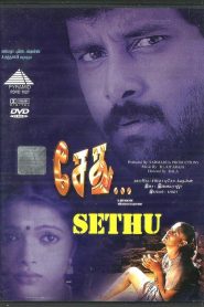 Sethu (1999) Full Movie Download Gdrive Link