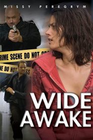 Wide Awake (2007) Full Movie Download Gdrive Link