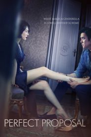 Perfect Proposal (2015) Full Movie Download Gdrive Link