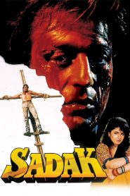 Sadak (1991) Full Movie Download Gdrive Link
