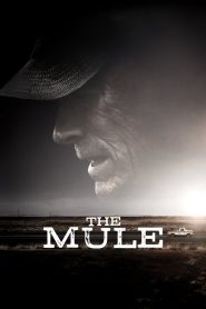 The Mule (2018) Full Movie Download Gdrive