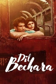 Dil Bechara (2020) Full Movie Download Gdrive Link