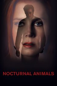 Nocturnal Animals (2016) Full Movie Download Gdrive