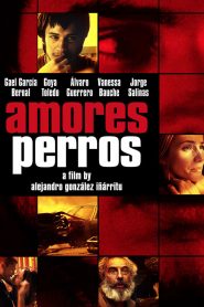 Amores Perros (2000) Full Movie Download Gdrive Link