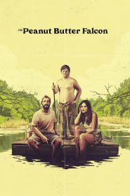 The Peanut Butter Falcon (2019) Full Movie Download Gdrive Link