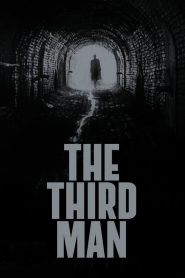The Third Man (1949) Full Movie Download Gdrive Link