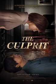 The Culprit (2019) Full Movie Download Gdrive Link