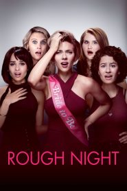 Rough Night (2017) Full Movie Download Gdrive