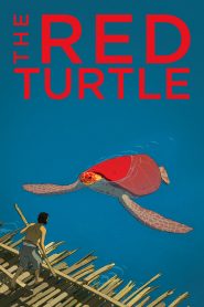 The Red Turtle (2016) Full Movie Download Gdrive