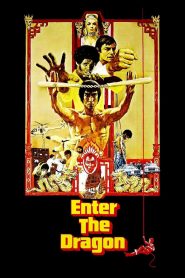 Enter the Dragon (1973) Full Movie Download Gdrive Link