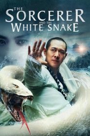 The Sorcerer and the White Snake (2011) Full Movie Download Gdrive Link