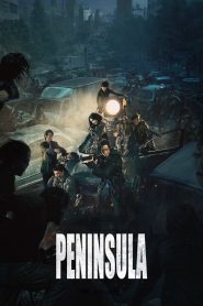 Train To Busan 2 | Peninsula (2020) Full Movie Download Gdrive Link
