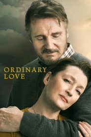 Ordinary Love (2019) Full Movie Download Gdrive Link