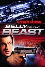 Belly of the Beast (2003) Full Movie Download Gdrive Link