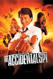 The Accidental Spy (2001) Full Movie Download Gdrive Link