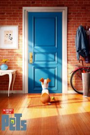 The Secret Life of Pets (2016) Full Movie Download Gdrive Link