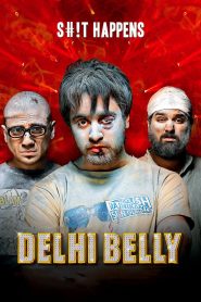 Delhi Belly (2011) Full Movie Download Gdrive Link