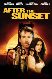 After the Sunset (2004) Full Movie Download Gdrive Link