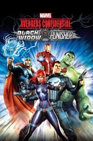 Avengers Confidential: Black Widow & Punisher (2014) Full Movie Download Gdrive Link