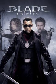 Blade: Trinity (2004) Full Movie Download Gdrive Link