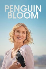 Penguin Bloom (2021) Full Movie Download Gdrive Link