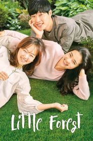 Little Forest (2018) Full Movie Download Gdrive Link