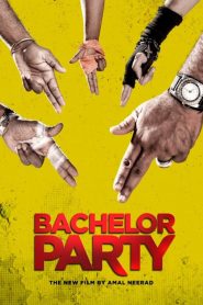 Bachelor Party (2012) Full Movie Download Gdrive Link