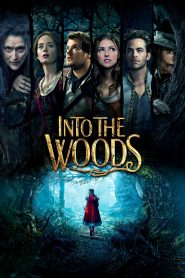 Into the Woods (2014) Full Movie Download Gdrive Link