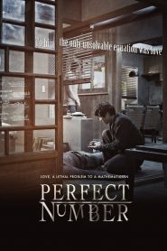 Perfect Number (2012) Full Movie Download Gdrive Link