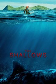 The Shallows (2016) Full Movie Download Gdrive Link