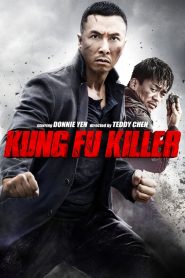 Kung Fu Jungle (2014) Full Movie Download Gdrive Link