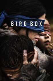 Bird Box (2018) Full Movie Download Gdrive Link