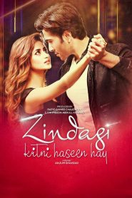 Zindagi Kitni Haseen Hay (2016) Full Movie Download Gdrive Link