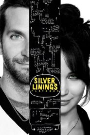 Silver Linings Playbook (2012) Full Movie Download Gdrive Link