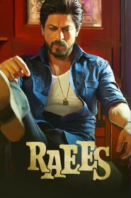 Raees (2017) Full Movie Download Gdrive Link