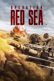 Operation Red Sea (2018) Full Movie Download Gdrive Link