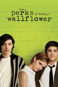The Perks of Being a Wallflower (2012) Full Movie Download Gdrive Link