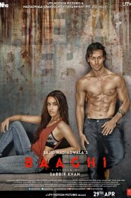 Baaghi (2016) Full Movie Download Gdrive Link