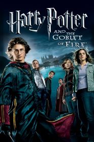 Harry Potter and the Goblet of Fire (2005) Full Movie Download Gdrive Link
