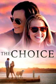 The Choice (2016) Full Movie Download Gdrive Link
