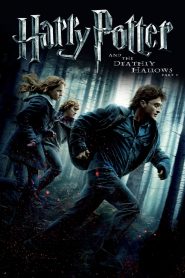 Harry Potter and the Deathly Hallows: Part 1 (2010) Full Movie Download Gdrive Link