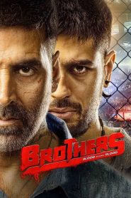 Brothers (2015) Full Movie Download Gdrive Link