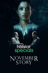 November Story : Season 1 WEB-DL 480p & 720p | [Complete]
